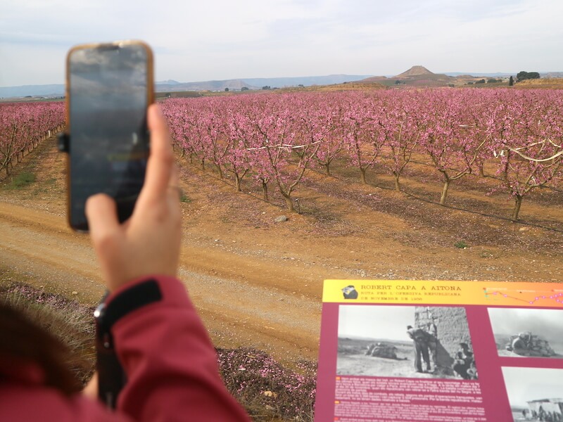 Ruta Robert Capa en Aitona - campos en flor