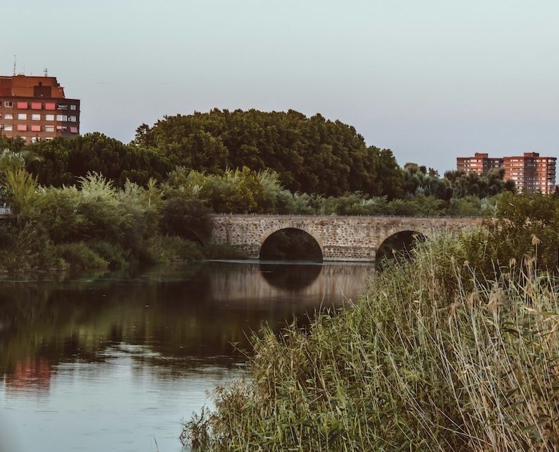 Talavera de la Reina