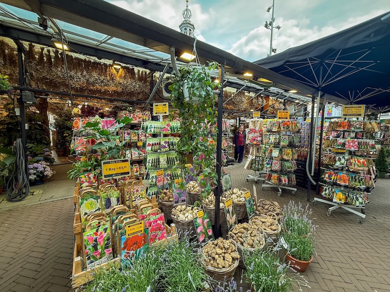 Mercado de las flores, Ámsterdam en autocaravana
